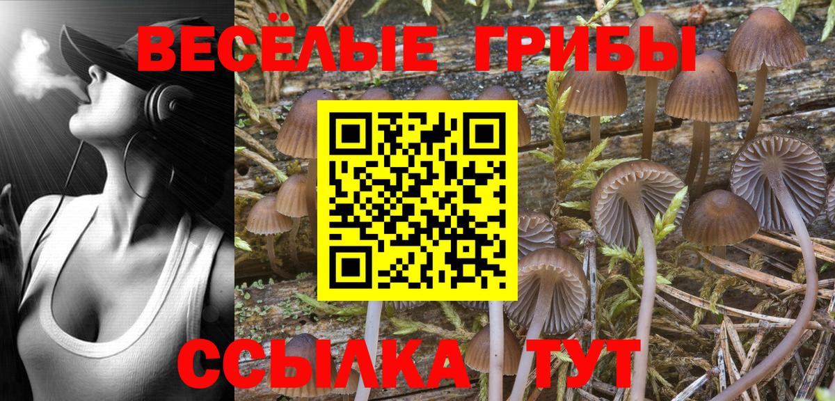 Псилоцибиновые грибы мухоморы Майский